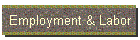 Employment & Labor